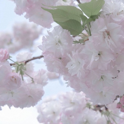 兽设草原场景绘制兽圈社群